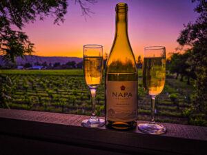 Napa Valley Vinyard