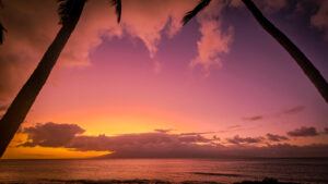 Napili Shores Sunset